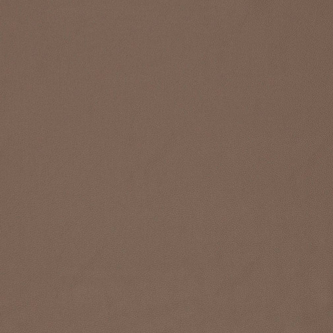 V828 by Charlotte Fabric Breathables V 100% Polyurethane, 26oz. Asia Exceeds 2,000,000 Wyzenbeek Rubs (Heavy Duty) No Repeat 54 Inches - Fabric Carolina -