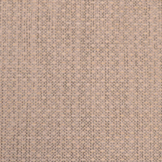 Allegro - Nougat by Europatex Fabric Allegro 100% Polyester China See Sample Horizontal: N/A and Vertical: N/A 54.00 inches  - Fabric Carolina -