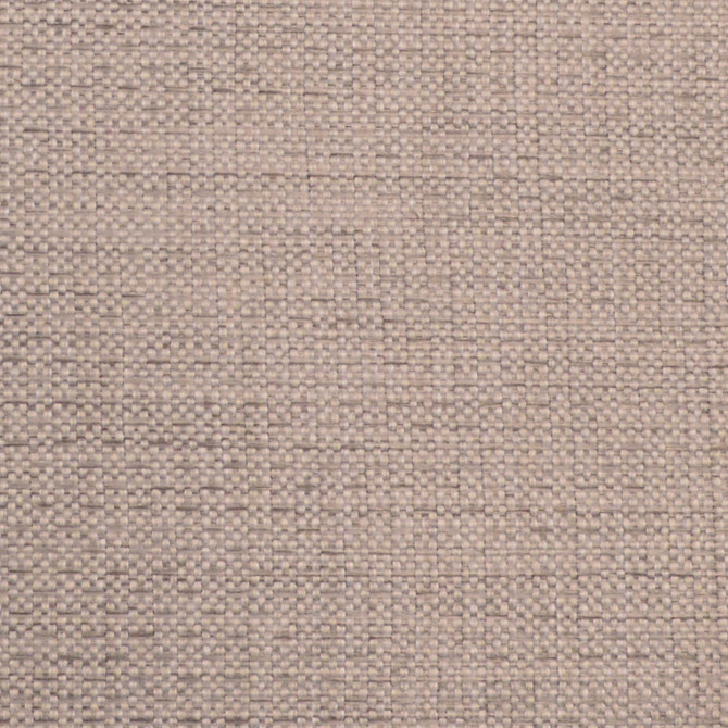 Allegro Ostrich by Europatex Fabric Allegro 100% Polyester 0.00" 54.00 inches - Fabric Carolina -