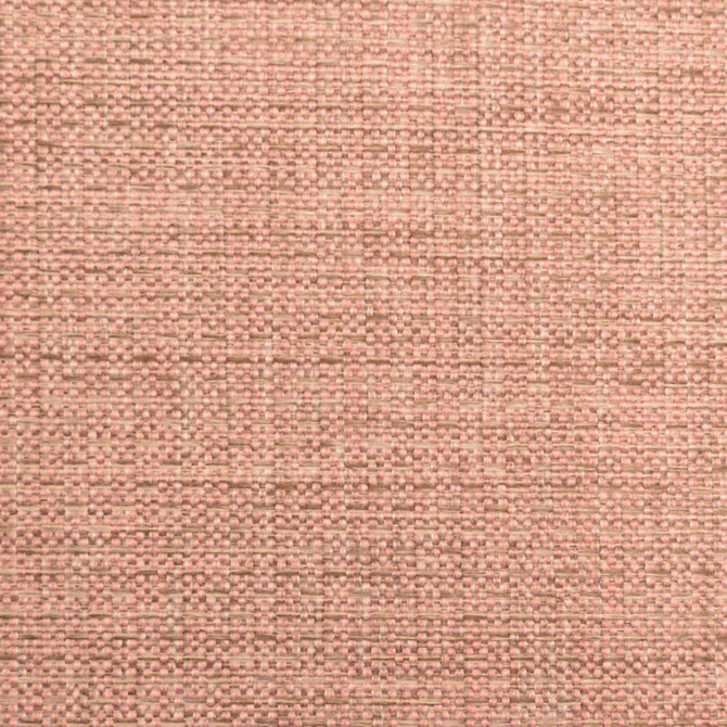 Allegro Rose by Europatex Fabric Allegro 100% Polyester 0.00" 54.00 inches - Fabric Carolina -