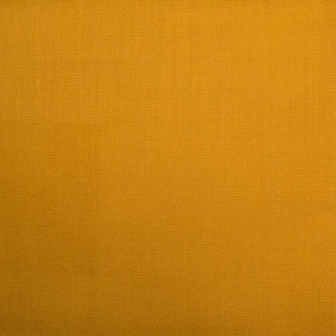 Barry - Mustard by Europatex Fabric Barry 100% Cotton China See Sample Horizontal: N/A and Vertical: N/A   - Fabric Carolina -