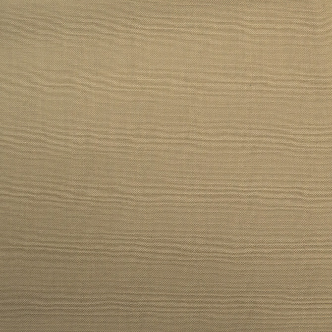 Barry Stone by Europatex Fabric Barry 100% Cotton 0.00" 55.00 inches - Fabric Carolina -