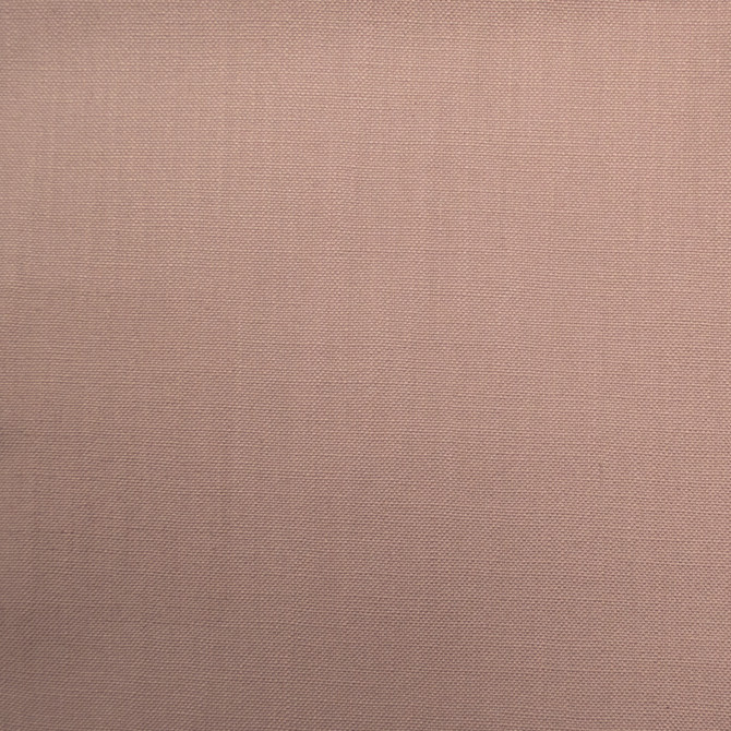 Barry Sweet Pea by Europatex Fabric Barry 100% Cotton 0.00" 55.00 inches - Fabric Carolina -