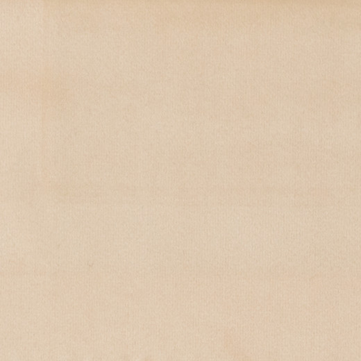 Bliss - Sand by Europatex Fabric Bliss 100% Polyester China See Sample Horizontal: N/A and Vertical: N/A 110.00 inches  - Fabric Carolina -