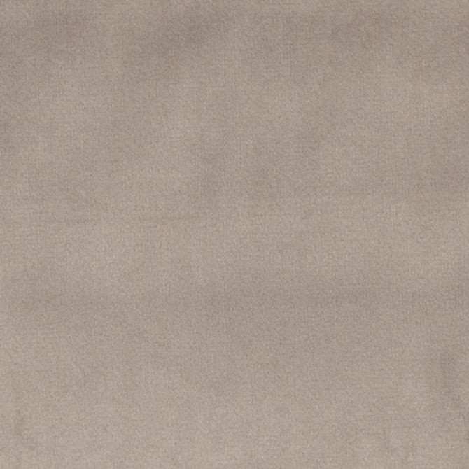 Bliss - Stone by Europatex Fabric Bliss 100% Polyester China See Sample Horizontal: N/A and Vertical: N/A 110.00 inches  - Fabric Carolina -