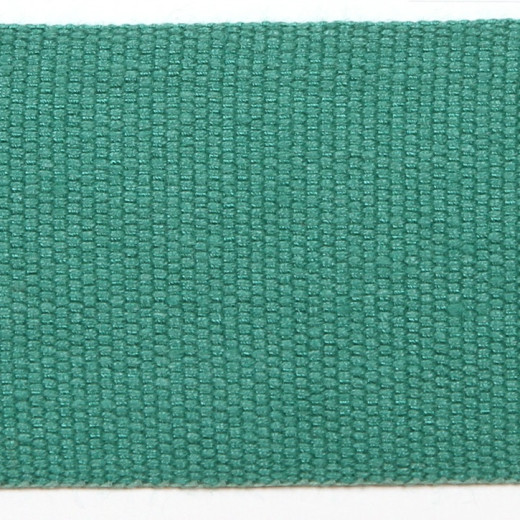 Le Lin 2'' Tape - Forest by Europatex Fabric Le Lin Collection 63% Linen / 37% Rayon China See Sample Horizontal: N/A and Vertical: N/A 2.00 inches  - Fabric Carolina -