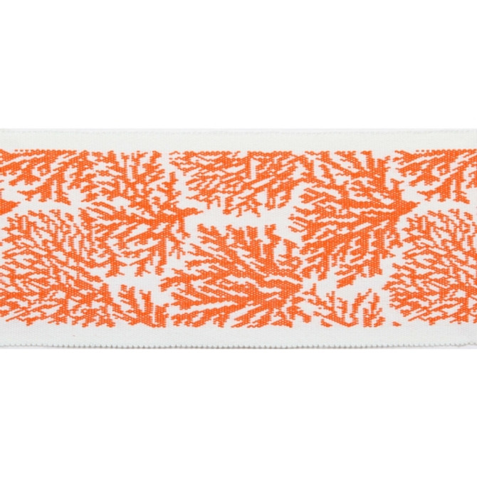 Pergola - Coral Tape - Coral by Europatex Fabric Pergola 100% Solution Dyed Acrylic China See Sample Horizontal: N/A and Vertical: N/A 3.25 inches  - Fabric Carolina -