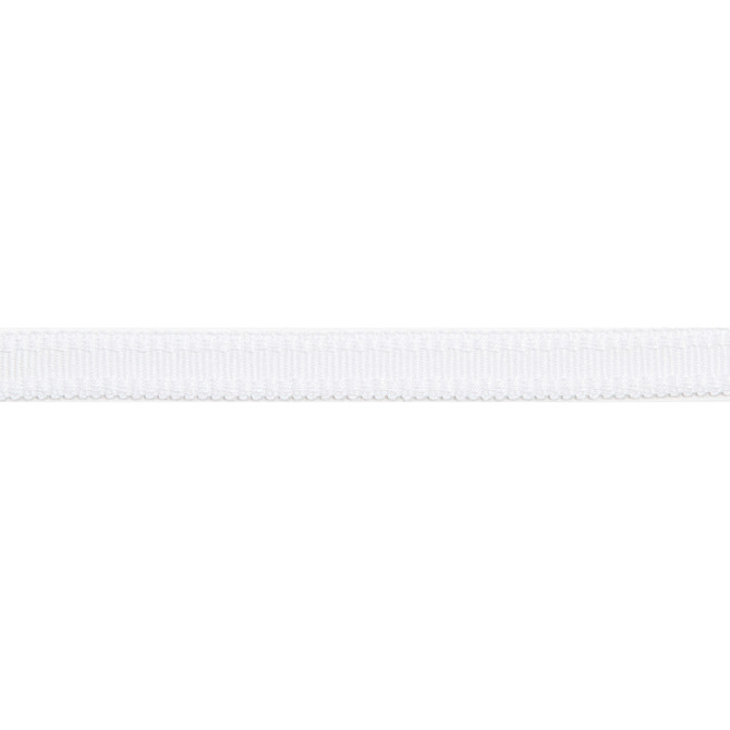 Versailles 9/16" Raised Edge Gimp Cloud by Europatex Fabric Versailles 100% Rayon 0.56 inches - Fabric Carolina -