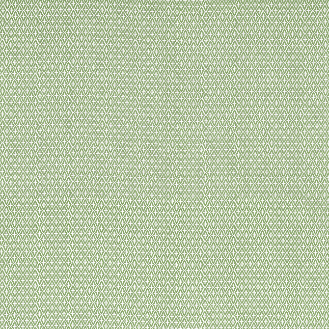Lindsey Green AF57814 by Anna French Fabric Anna French Fabric Lindsey Green AF57814Fabric Bristol </p><p>Repeat: V: 5.75" (14.61 cm) 54.00" (137.16 cm) - Fabric Carolina -