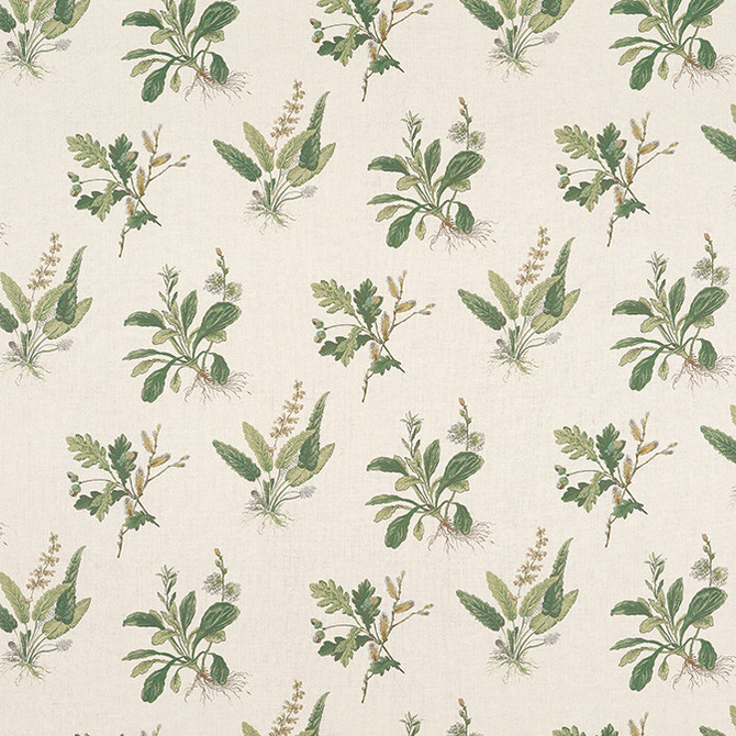 Woodland Green on Natural AF57853 by Anna French Fabric Anna French Fabric Woodland Green on Natural AF57853Fabric Bristol Fabric Book 100% Linen UNITED STATES </p><p>Repeat: V: 21.5 52.5 - Fabric Carolina -