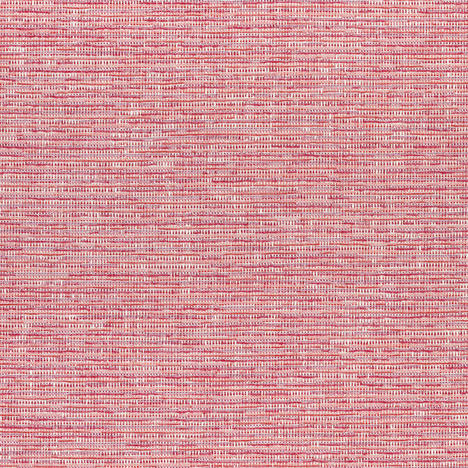 Cadence Raspberry W74038 by Thibaut Fabric Thibaut Fabric Cadence Raspberry W74038Fabric Cadence 100% Polyester - acr back U.S.A. </p><p>Repeat: V: - 54 - Fabric Carolina -