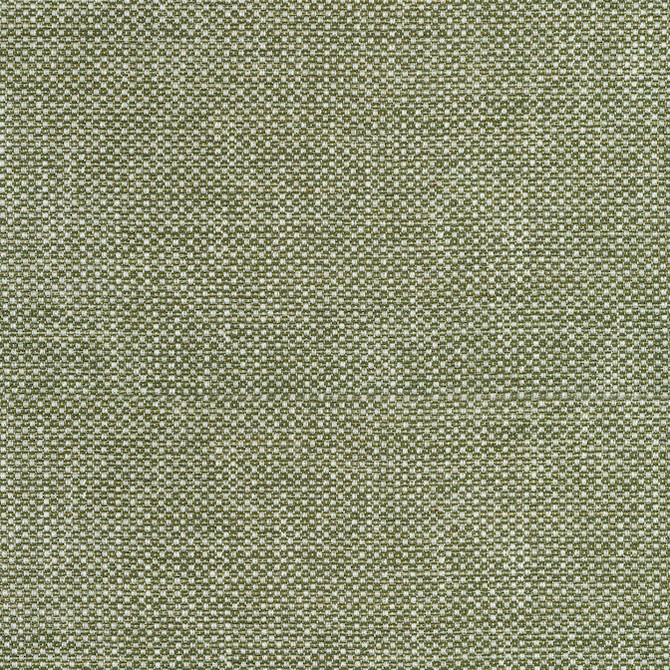 Cascade Ivy W75263 by Thibaut Fabric Thibaut Fabric Cascade Ivy W75263Fabric Elements 93% Polyester, 7% Cotton U.S.A. </p><p>Repeat: V: 63 54 - Fabric Carolina -