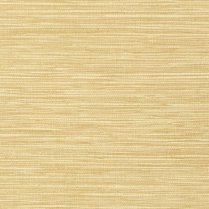 Jindo Grass Camel T75115 by Thibaut Wallpaper Thibaut Wallpaper Jindo Grass Camel T75115Wallpaper Faux Resource Vinyl Face Wallpaper UNITED KINGDOM </p><p>Repeat: V: 27 27 - Fabric Carolina -