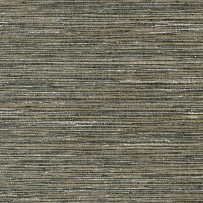 Jindo Grass Smoke T75122 by Thibaut Wallpaper Thibaut Wallpaper Jindo Grass Smoke T75122Wallpaper Faux Resource Vinyl Face Wallpaper UNITED KINGDOM </p><p>Repeat: V: 27 27 - Fabric Carolina -