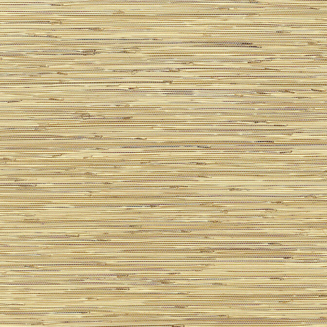 St. Martin Cream T3610 by Thibaut Wallpaper Thibaut Wallpaper St. Martin Cream T3610Wallpaper Grasscloth Resource 2 Boodle CHINA </p><p>Repeat: V: - 36 - Fabric Carolina -