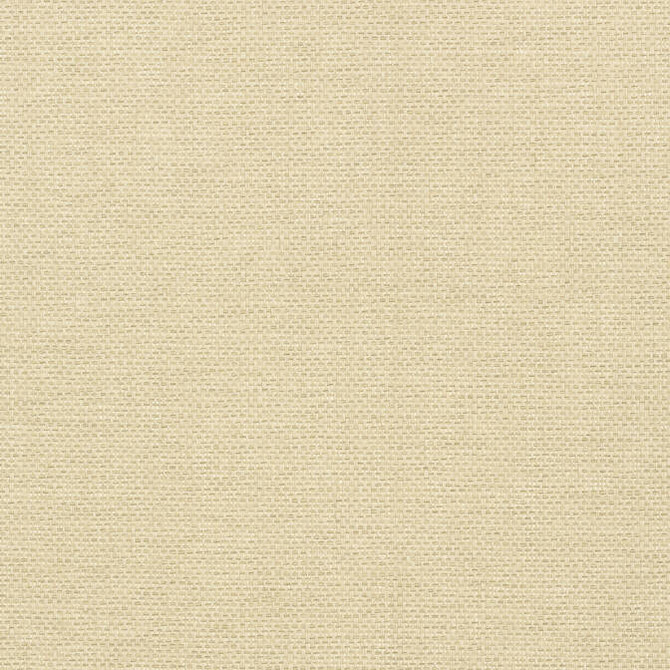 Adriatic Sand T41125 by Thibaut Wallpaper Thibaut Wallpaper Adriatic Sand T41125Wallpaper Grasscloth Resource 3 Paperweave KOREA </p><p>Repeat: V: - 36 - Fabric Carolina -