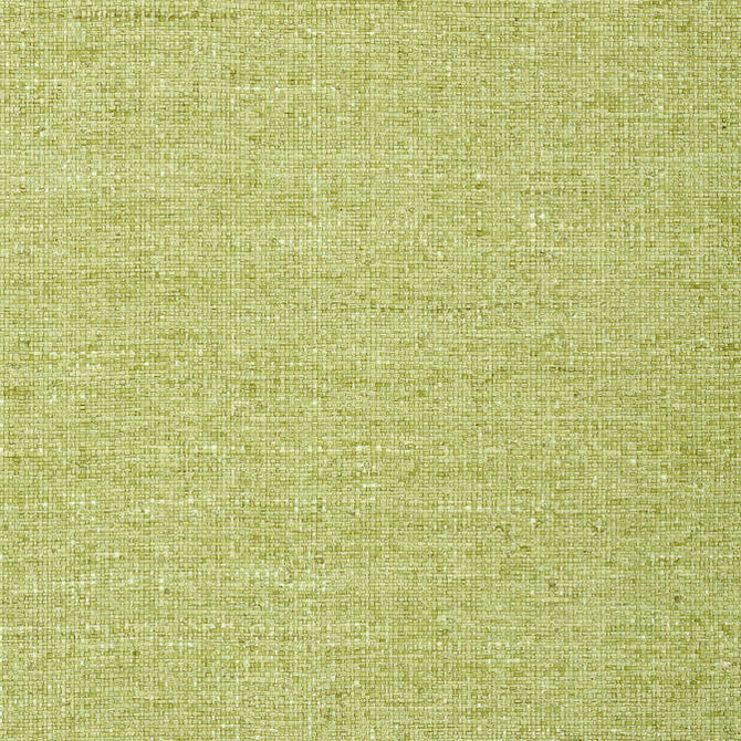 Provincial Weave Spring Green T72798 by Thibaut Wallpaper Thibaut Wallpaper Provincial Weave Spring Green T72798Wallpaper Grasscloth Resource 4 Raffia KOREA </p><p>Repeat: V: - 36 - Fabric Carolina -