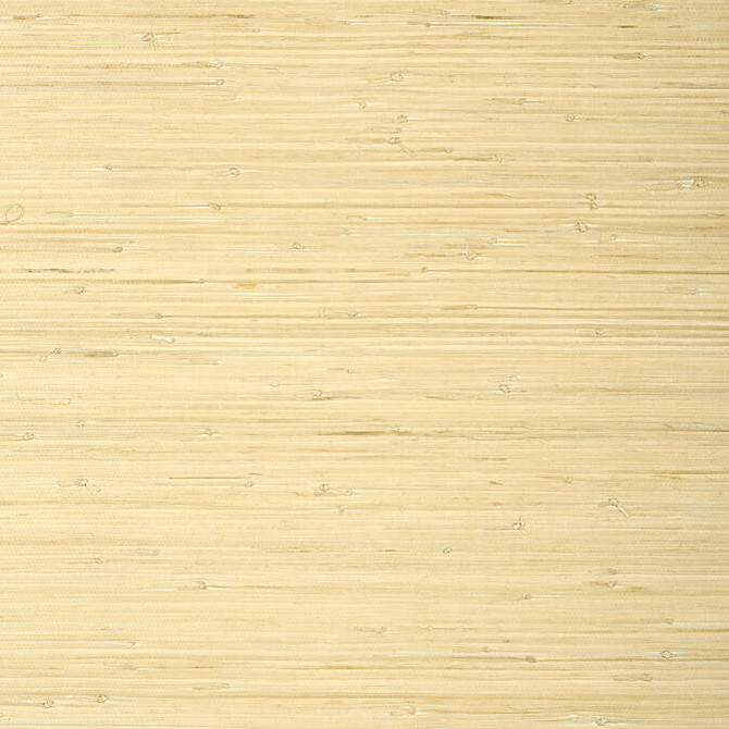 Raffia Palm Natural T24065 by Thibaut Wallpaper Thibaut Wallpaper Raffia Palm Natural T24065Wallpaper Grasscloth Resource 5 Raffia KOREA </p><p>Repeat: V: - 36 - Fabric Carolina - Raffia Palm Natural T24065 by Thibaut Wallpaper Thibaut Wallpaper Raffia Palm Natural T24065Wallpaper Grasscloth Resource 5 Raffia KOREA </p><p>Repeat: V: - 36 - Fabric Carolina -
