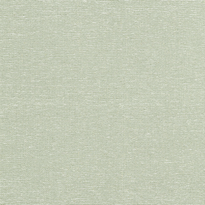 Edward'S Paper Green T19703 by Thibaut Wallpaper Thibaut Wallpaper Edward'S Paper Green T19703Wallpaper Grasscloth Resource 6 Paperweave KOREA, REPUBLIC OF </p><p>Repeat: V: 0 36 - Fabric Carolina -