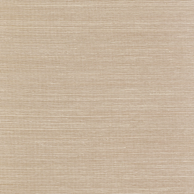 Heather Sisal Brown T19643 by Thibaut Wallpaper Thibaut Wallpaper Heather Sisal Brown T19643Wallpaper Grasscloth Resource 6 Sisal CHINA </p><p>Repeat: V: - 36 - Fabric Carolina -