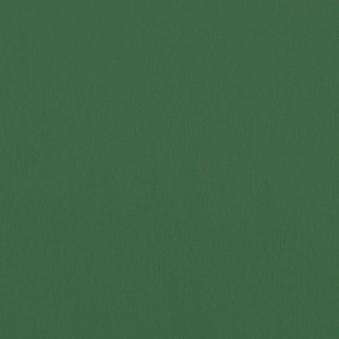 Alto Velvet Holly W8949 by Thibaut Fabric Thibaut Fabric Alto Velvet Holly W8949Fabric Lyra Velvets 50% Cotton, 50% Polyester ITALY </p><p>Repeat: V: 0 54 - Fabric Carolina -