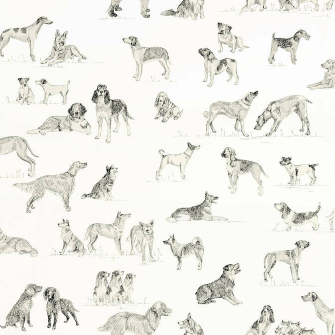 Best Friend Black and White T1038 by Thibaut Wallpaper Thibaut Wallpaper Best Friend Black and White T1038Wallpaper Menswear Resource Wallpaper U.S.A. </p><p>Repeat: V: 27 27 - Fabric Carolina -