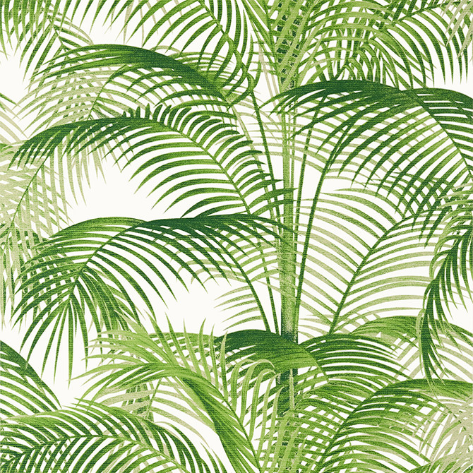 Delray Green T13938 by Thibaut Wallpaper Thibaut Wallpaper Delray Green T13938Wallpaper Palm Grove Non Woven Wallpaper UNITED KINGDOM </p><p>Repeat: V: 27.5 27 - Fabric Carolina - Delray Green T13938 by Thibaut Wallpaper Thibaut Wallpaper Delray Green T13938Wallpaper Palm Grove Non Woven Wallpaper UNITED KINGDOM </p><p>Repeat: V: 27.5 27 - Fabric Carolina -