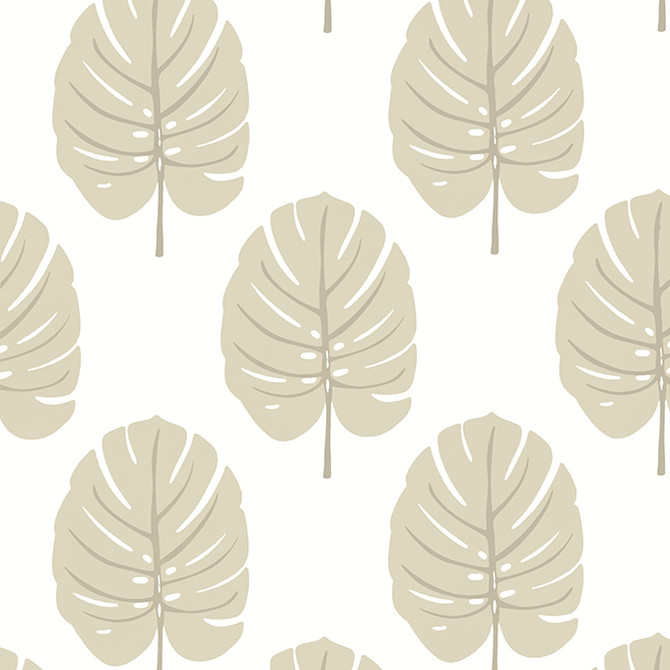 Monstera Beige T13956 by Thibaut Wallpaper Thibaut Wallpaper Monstera Beige T13956Wallpaper Palm Grove Wallpaper U.S.A. </p><p>Repeat: V: 18 27 - Fabric Carolina -