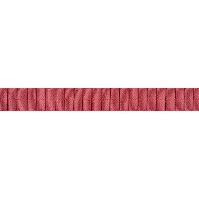 Pleated Tape Cranberry E12065 by Thibaut Fabric Thibaut Fabric Pleated Tape Cranberry E12065Fabric Tapes & Trims Volume 1 100% Cotton INDIA </p><p>Repeat: V: 0.37 0.87 - Fabric Carolina -