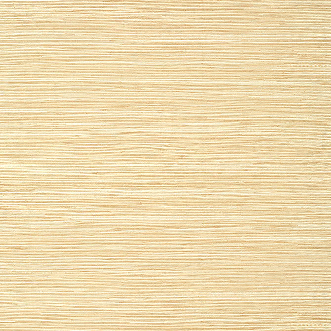 Normandy Straw T14548 by Thibaut Wallpaper Thibaut Wallpaper Normandy Straw T14548Wallpaper Texture Resource 8 Non-Woven Vinyl Wallpaper UNITED STATES </p><p>Repeat: V: 21 27 - Fabric Carolina -