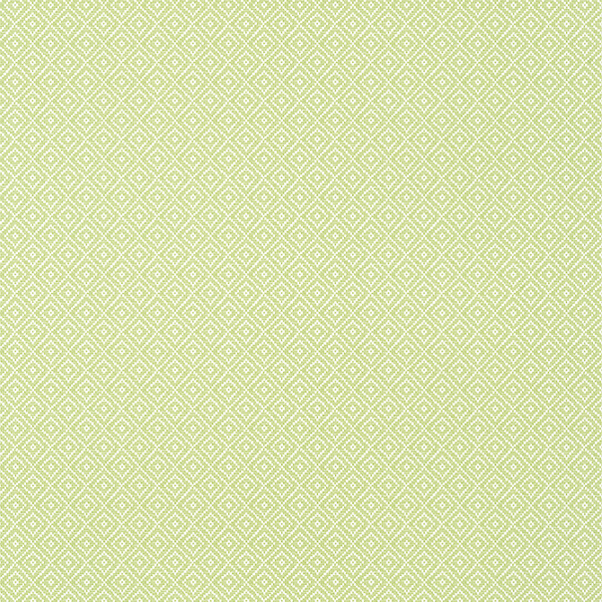Rimba Spring T14543 by Thibaut Wallpaper Thibaut Wallpaper Rimba Spring T14543Wallpaper Texture Resource 8 Non-Woven Vinyl Wallpaper UNITED STATES </p><p>Repeat: V: 1.75 27 - Fabric Carolina -