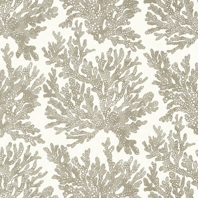 Marine Coral Beige T10140 by Thibaut Wallpaper Thibaut Wallpaper Marine Coral Beige T10140Wallpaper Tropics Wallpaper U.S.A. </p><p>Repeat: V: 25.25 27 - Fabric Carolina -