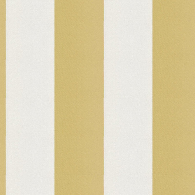 CIRQUE 15J9351 by JF Fabric CIRQUE 59% , 41% Polyester India Horizontal: 4 and Vertical: 56 - Fabric Carolina -