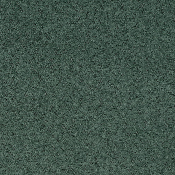 D4207 Forest by Charlotte Fabric Crypton Colors II 100% Polyester Finished in USA Exceeds 120,000 Wyzenbeek Rubs (Heavy Duty) No Repeat 54 Inches - Fabric Carolina -