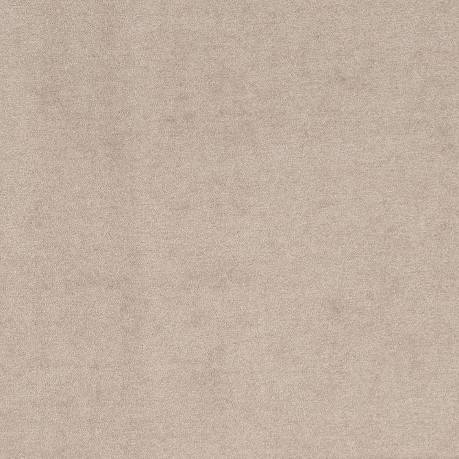 D4270 Dove by Charlotte Fabric Crypton Neutrals II 82% Polyester, 18% Acrylic Finished in USA Exceeds 200,000 Wyzenbeek Rubs (Heavy Duty) No Repeat 54 Inches - Fabric Carolina -
