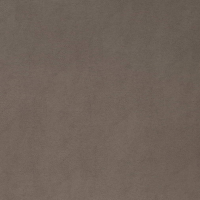 V865 Pewter by Charlotte Fabric Leather Looks 69% Polyurethane, 28% Polyester, 3% Cotton Asia Exceeds 100,000 Wyzenbeek Rubs (Heavy Duty) No Repeat 54 Inches - Fabric Carolina -