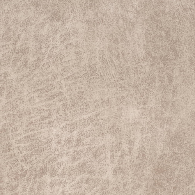 V892 Tusk by Charlotte Fabric Leather Looks 79% Polyester, 21% Polyurethane Asia Exceeds 100,000 Wyzenbeek Rubs (Heavy Duty) No Repeat 54 Inches - Fabric Carolina -