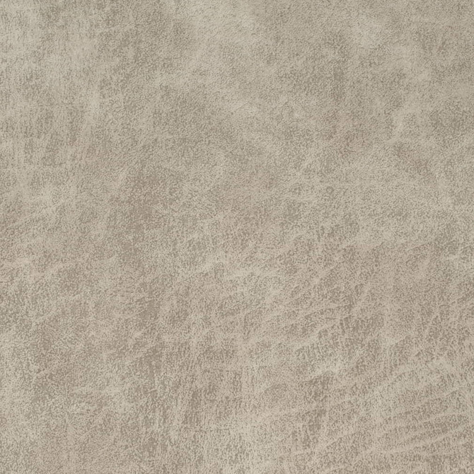 V901 Bone by Charlotte Fabric Leather Looks 72% Polyester, 24% Cotton, 4% Rayon Asia Exceeds 100,000 Wyzenbeek Rubs (Heavy Duty) No Repeat 54 Inches - Fabric Carolina -