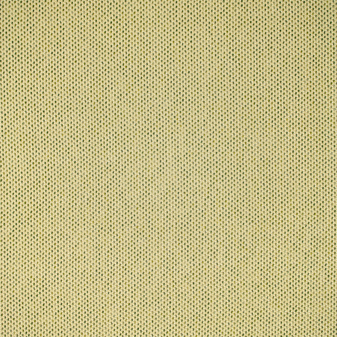 F5464 Grass by Greenhouse Fabric 98.58% Olefin, 1.42% Polyester USA 51,000 </p><p>Repeat: .188" H, .188" V 54" - Fabric Carolina -