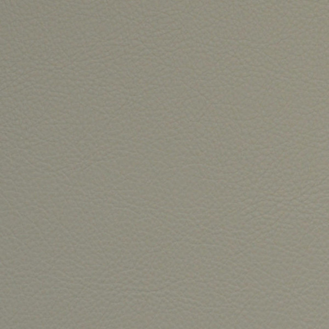 F5006 Gypsum by Greenhouse Fabric Face: 100% Pvc, Back: 100% Polyester Taiwan 500,000 </p><p>Repeat: None 54" - Fabric Carolina -