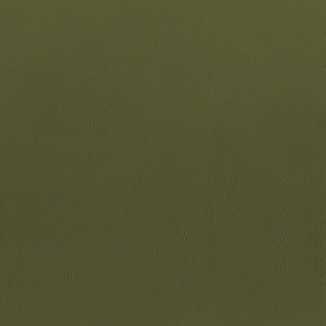 F5077 Fern by Greenhouse Fabric 100% Vinyl, Backing: 100% Polyester China 1,500,000 </p><p>Repeat: None 54" - Fabric Carolina -