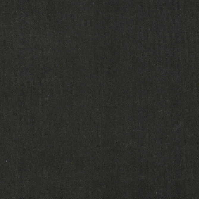 Spock 3 Zinc by Stout Fabric Stout Fabric Spock 3 ZincFabric Solid Velvets Plush Palette 100%Pol Indonesia </p><p>Repeat: H: 0, V: 7 55 in - Fabric Carolina -