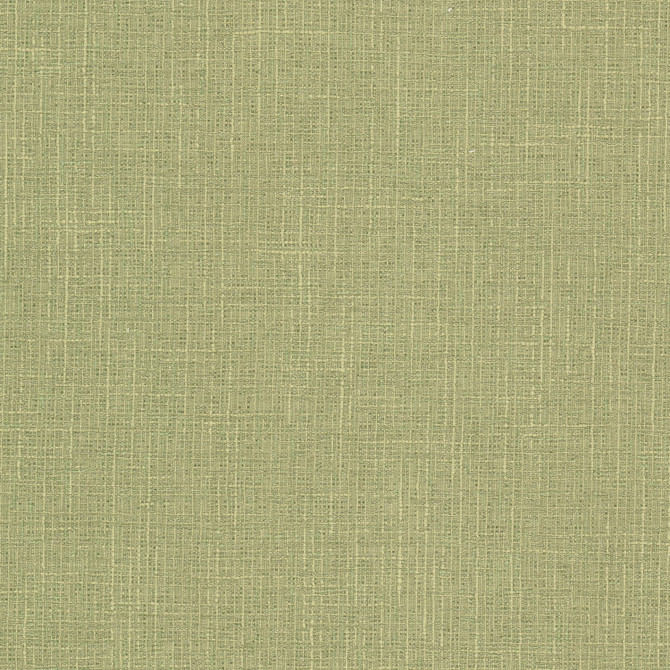 Keegan 1 Pistachio by Stout Fabric Stout Fabric Keegan 1 PistachioFabric COMFORTABLE LIVING SAGE/MOSS 62%POL 32%COT 6%SVI INDIA </p><p>Repeat: H: 0.000, V: 0.000 54 in - Fabric Carolina -
