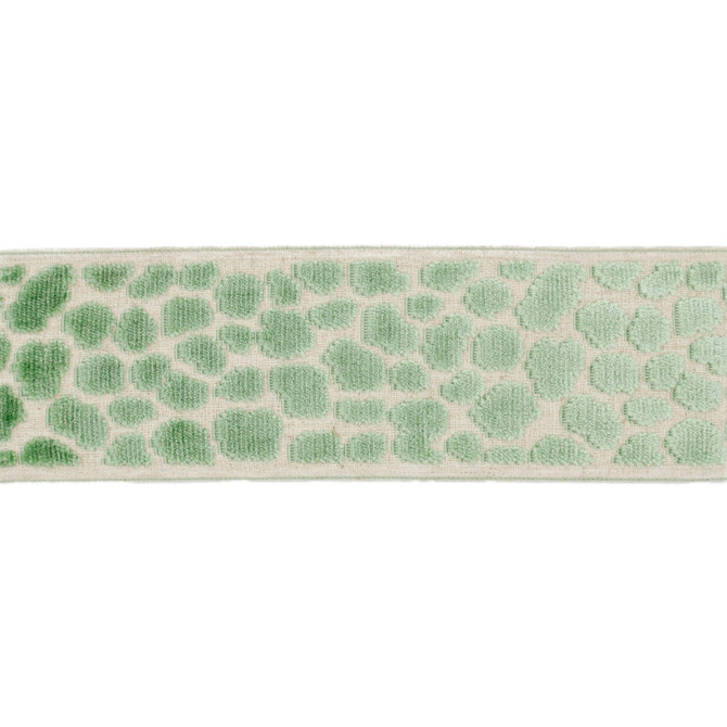 Wilder Tape Caribbean Green by Magnolia Trim - 58% Rayon, 31% Poly, 11% Linen China Horizontal: and Vertical: 3.5 - Fabric Carolina -