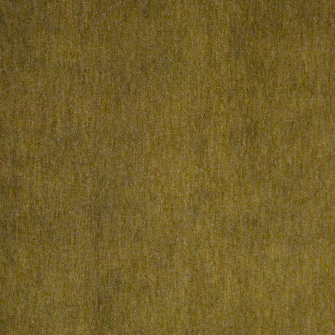 Belluno # 107 Olive by Maxwell Fabric Telafina Season Xvi 50% MOHAIR
50% ACRYLIC TURKEY 55.5" - Fabric Carolina -
