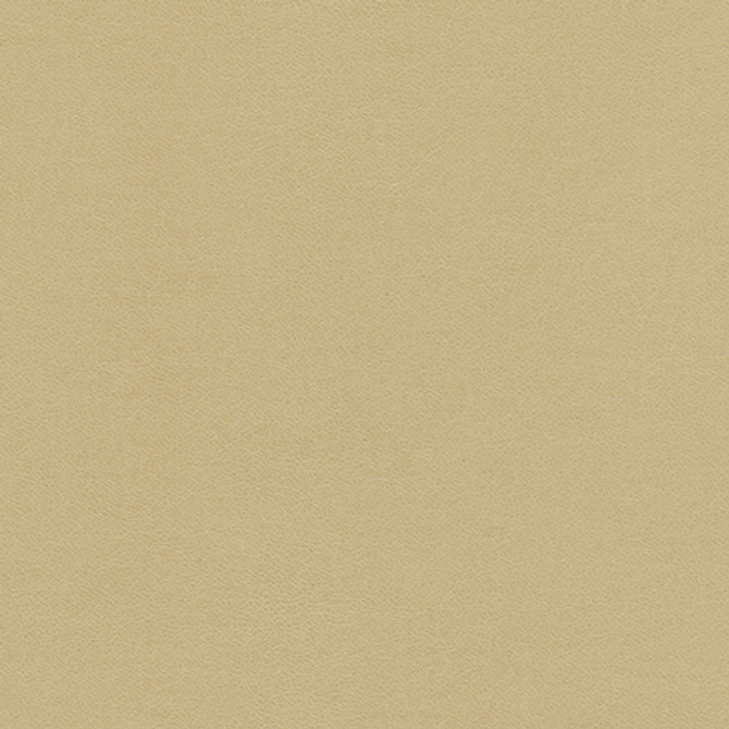 Knack-Nj # 1274 Sand by Maxwell Fabric MEMOS ONLY-COATED FABRICS FACE: 100% SILICONE BASE: 100% POLYURETHANE (POLYCARBONATE) BACKING: 65% POLYESTER
35% RAYON KOREA 54" - Fabric Carolina -