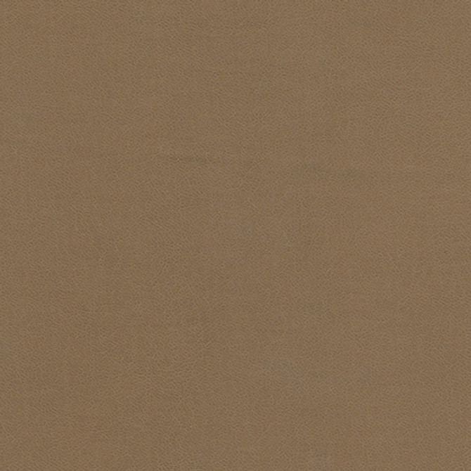 Knack-Nj # 1287 Rusk by Maxwell Fabric MEMOS ONLY-COATED FABRICS FACE: 100% SILICONE BASE: 100% POLYURETHANE (POLYCARBONATE) BACKING: 65% POLYESTER
35% RAYON KOREA 54" - Fabric Carolina -