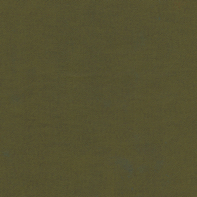 Knack-Nj 1288 Algae by Maxwell Fabric MEMOS ONLY-COATED FABRICS FACE: 100% SILICONE
BASE: 100% POLYURETHANE (POLYCARBONATE)
BACKING: 65% POLYESTER KOREA   54"  - Fabric Carolina -