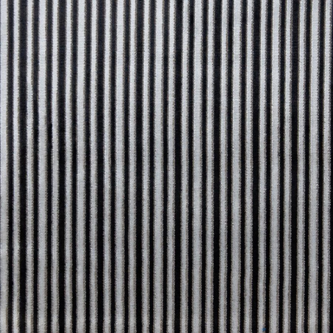 Lugano # 617 Zebra by Maxwell Fabric Performance Cut Velvets 48% POLYESTER
47% VISCOSE
5% COTTON BELGIUM H-1.7" 55" - Fabric Carolina -