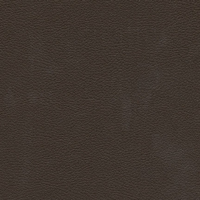 Tannery-Nj 112 Clove by Maxwell Fabric MEMOS ONLY-COATED FABRICS FACE: 100% POLYURETHANE KOREA   54"  - Fabric Carolina -